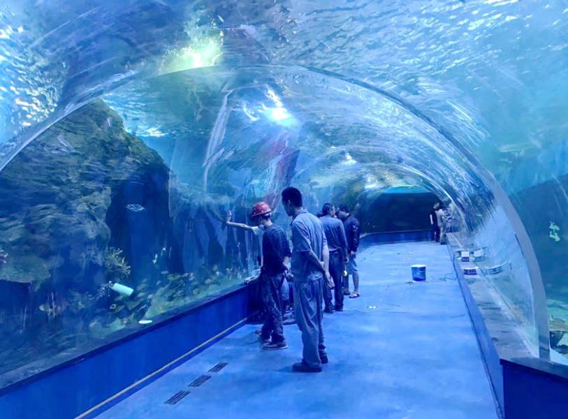 acrylic tunnel