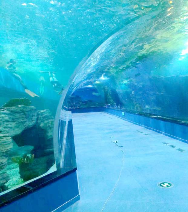Acrylic Tunnel