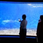 Aquarium acrylic windows