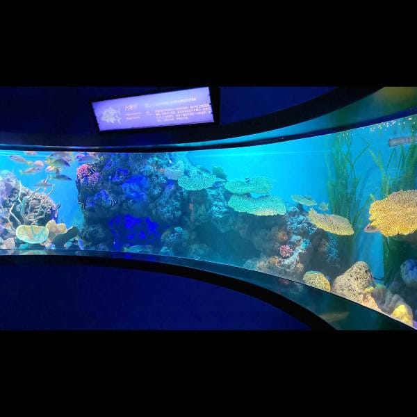 Aquarium Acrylics