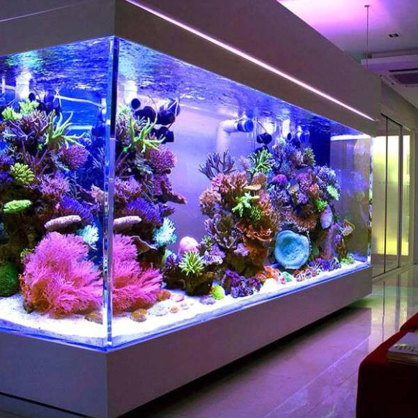 acrylic cube tank