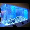Saltwater Aquarium Acrylic