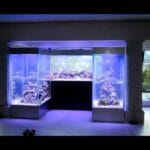 Large Cube Acrylic Tank