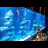 Aquarium Acrylic Manufacturing