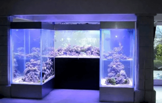 Aquarium Acrylic Sheet