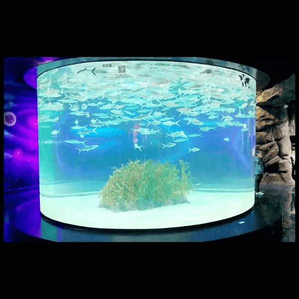 Acrylic Cylinder Aquarium