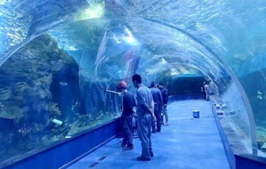 Aquarium Acrylic Sheet